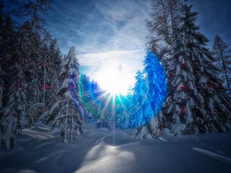 25_20190119