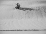 12_20190117