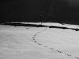 13_20190117
