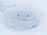 27_20190119