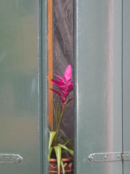 burano00041