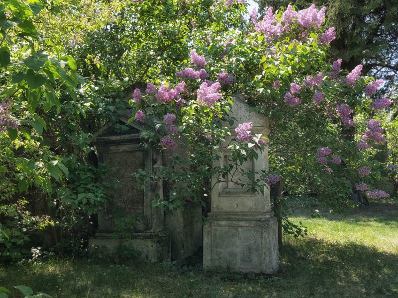 FriedhofStMarx00001
