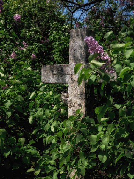 FriedhofStMarx00006