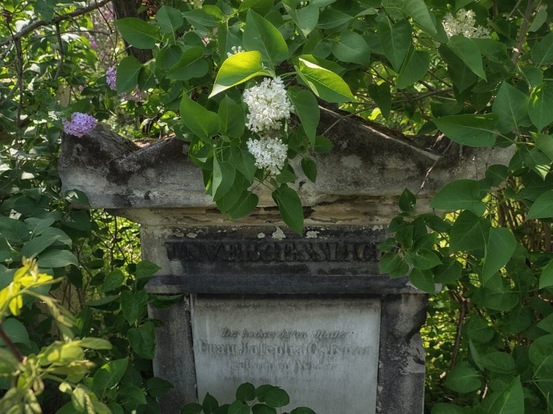 FriedhofStMarx00009