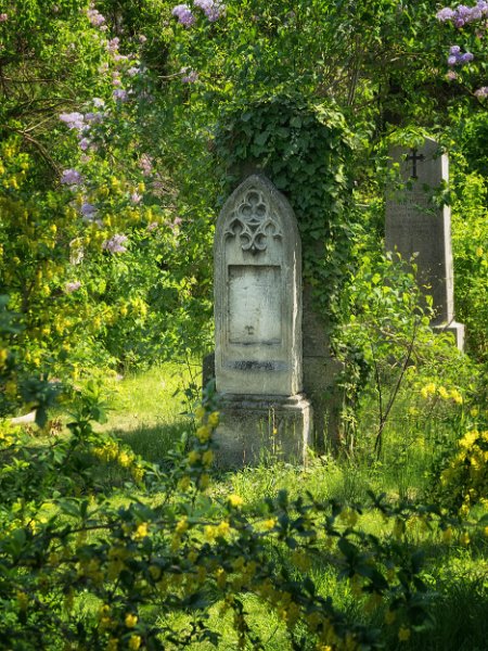FriedhofStMarx00012