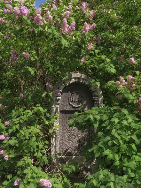 FriedhofStMarx00013