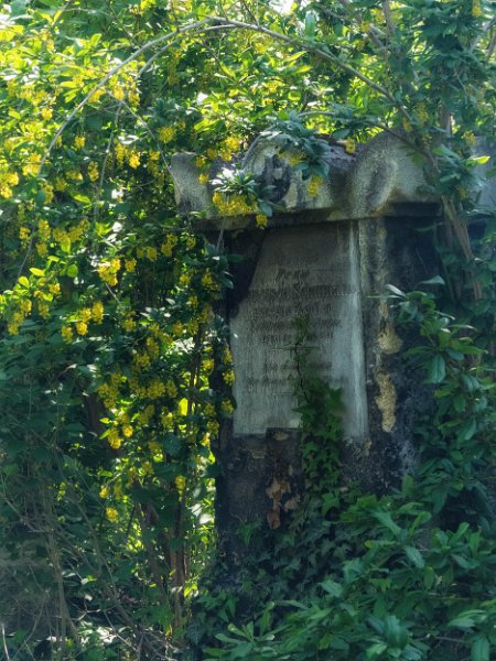 FriedhofStMarx00021