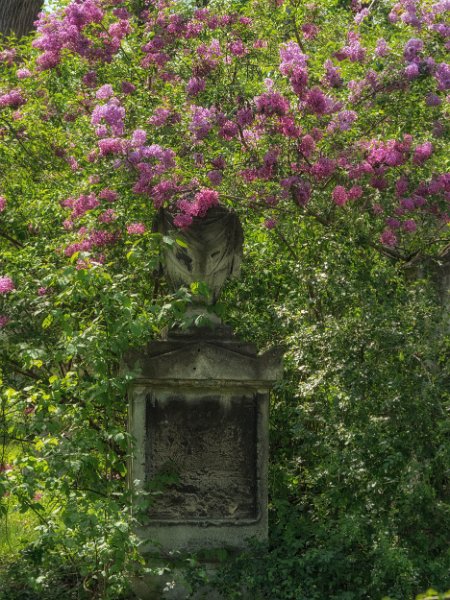 FriedhofStMarx00027