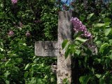 FriedhofStMarx00006