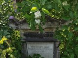 FriedhofStMarx00009