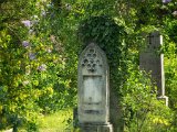 FriedhofStMarx00012