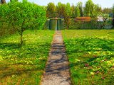 fruehling00035