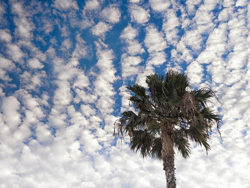   Fuerteventura
