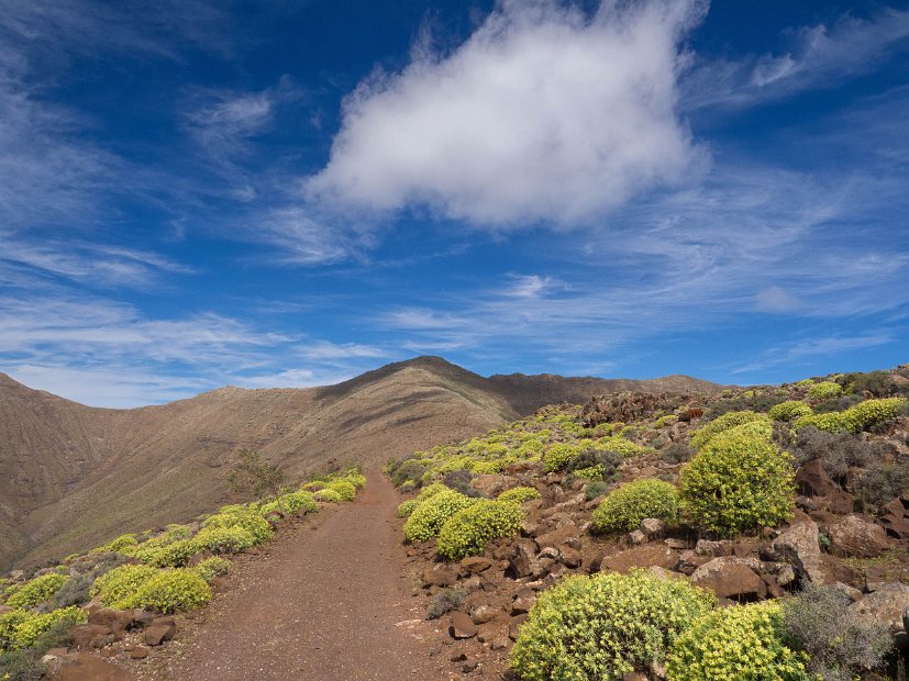  Fuerteventura