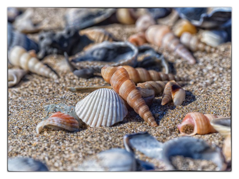 Jesolo
