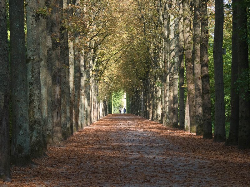 57 Schwetzingen