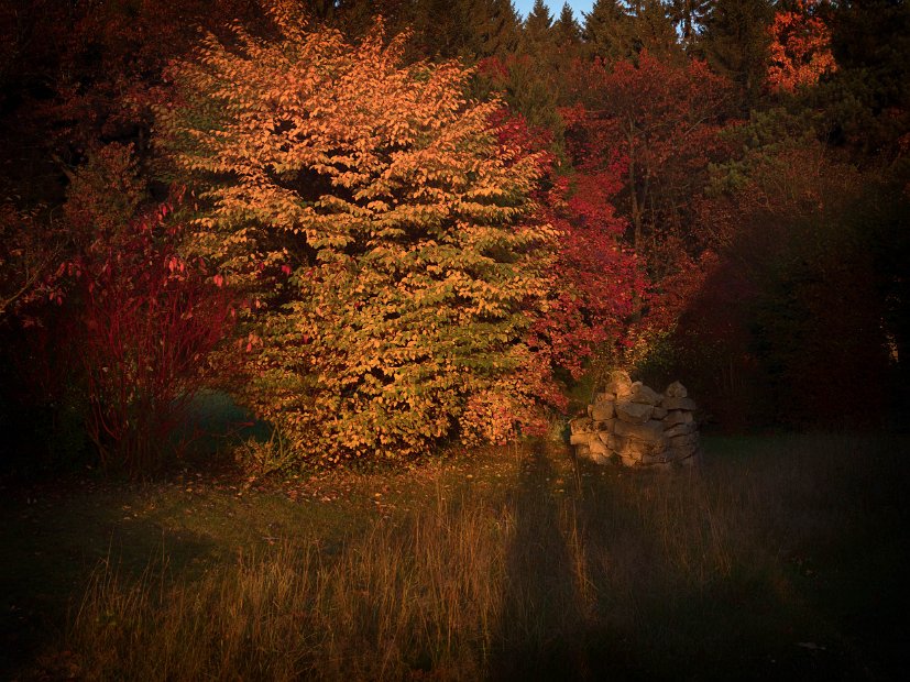 IndianSummer1
