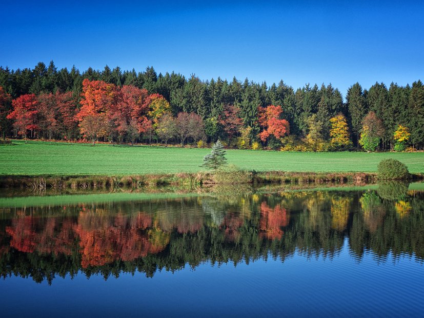 IndianSummer15