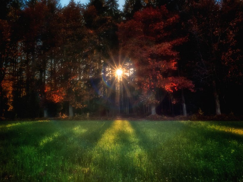 IndianSummer19