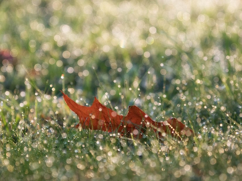 IndianSummer4