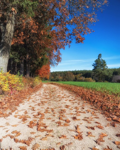 IndianSummer5