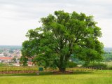 0684-Valtice