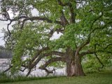 0777-Schlosspark Lednice
