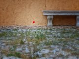 0798-Detail Schloss Lednice