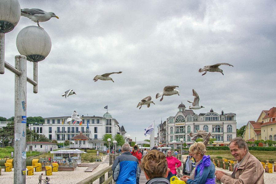 ruegen00023