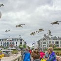 ruegen00023