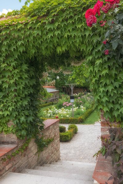 Schloss Hof 00013