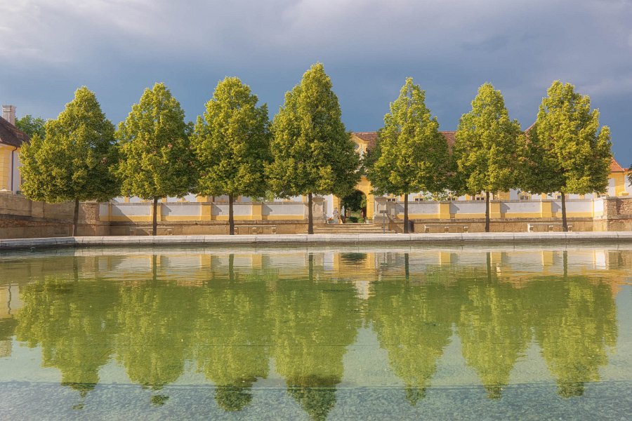 Schloss Hof 00015
