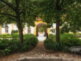 Schloss Hof 00018