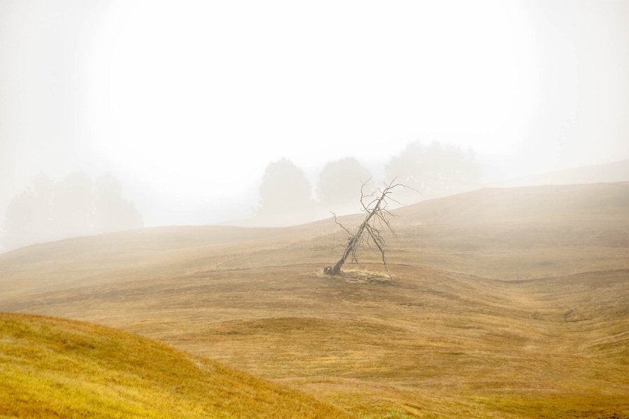 Seiseralm16