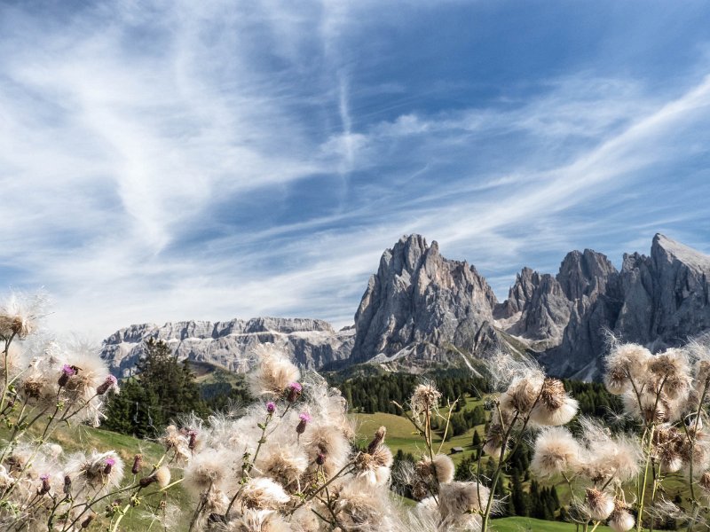 Seiseralm18