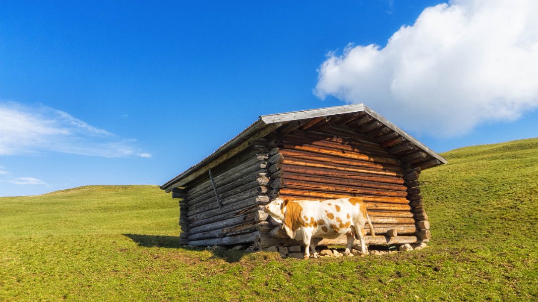 Seiseralm39