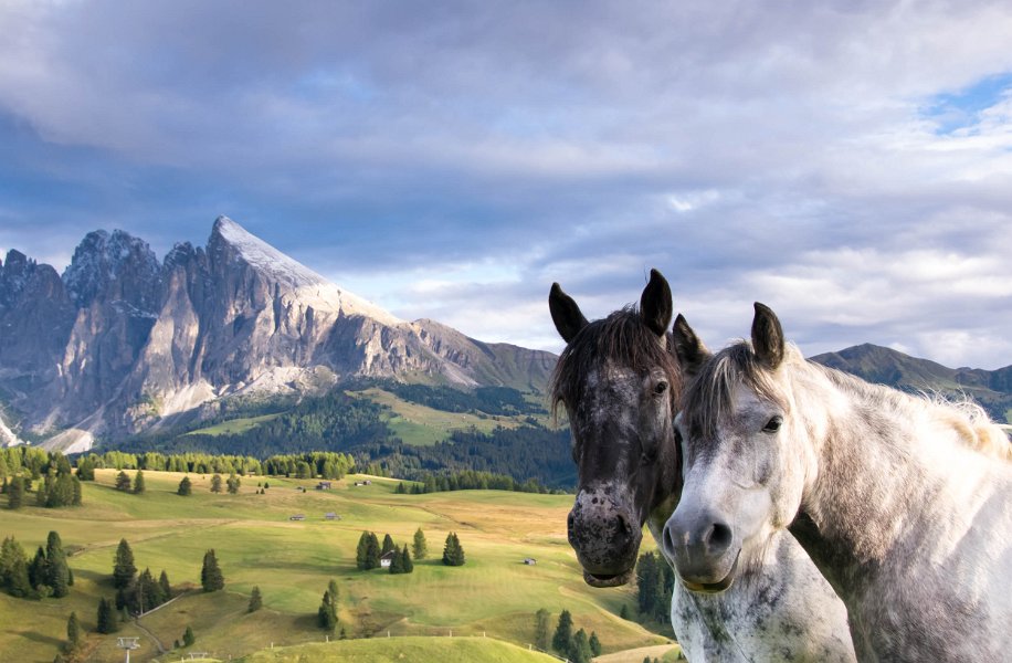 Seiseralm6