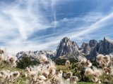 Seiseralm18