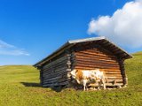 Seiseralm39