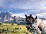 Seiseralm6