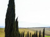 20170313-P3132960.jpg