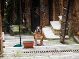 20170314-P3143230.jpg