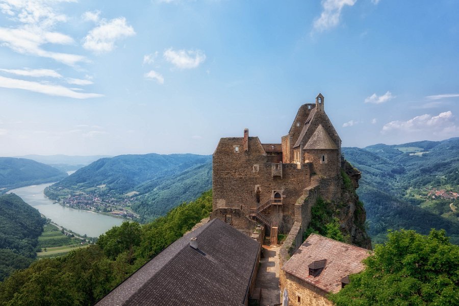 Wachau und die Hunde von Kuenring 1