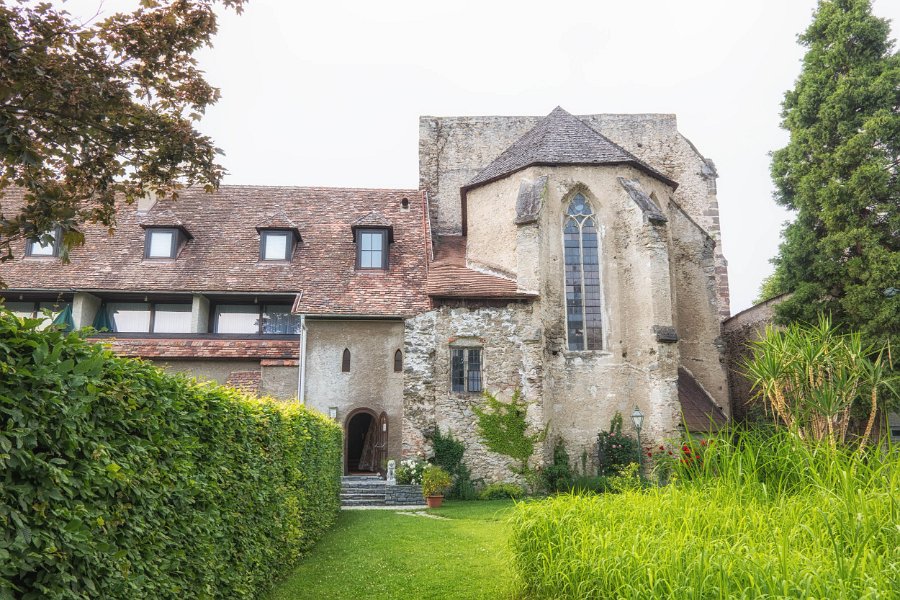 Wachau und die Hunde von Kuenring 10