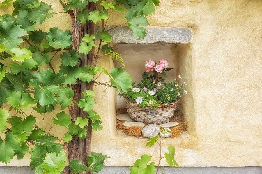 Wachau und die Hunde von Kuenring 18