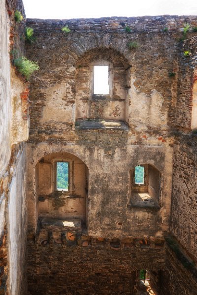 Wachau und die Hunde von Kuenring 2
