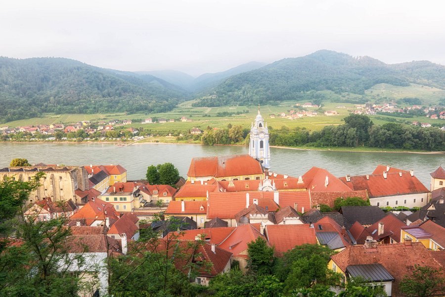 Wachau und die Hunde von Kuenring 23