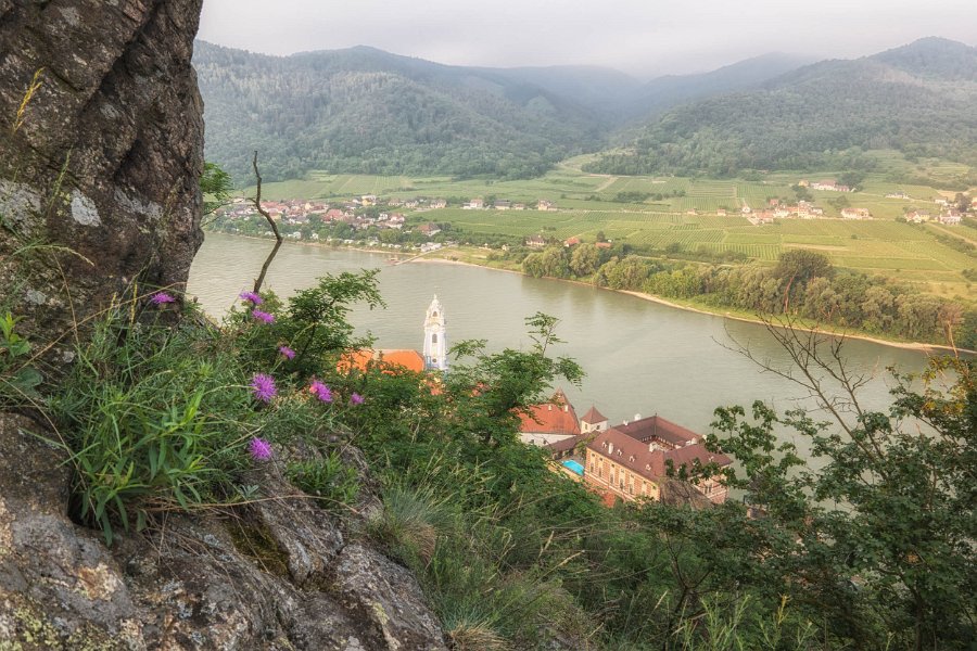 Wachau und die Hunde von Kuenring 24