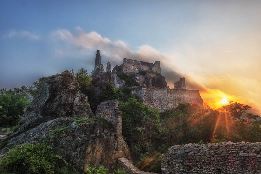 Wachau und die Hunde von Kuenring 25