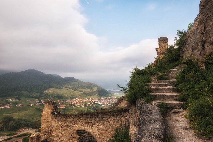 Wachau und die Hunde von Kuenring 26